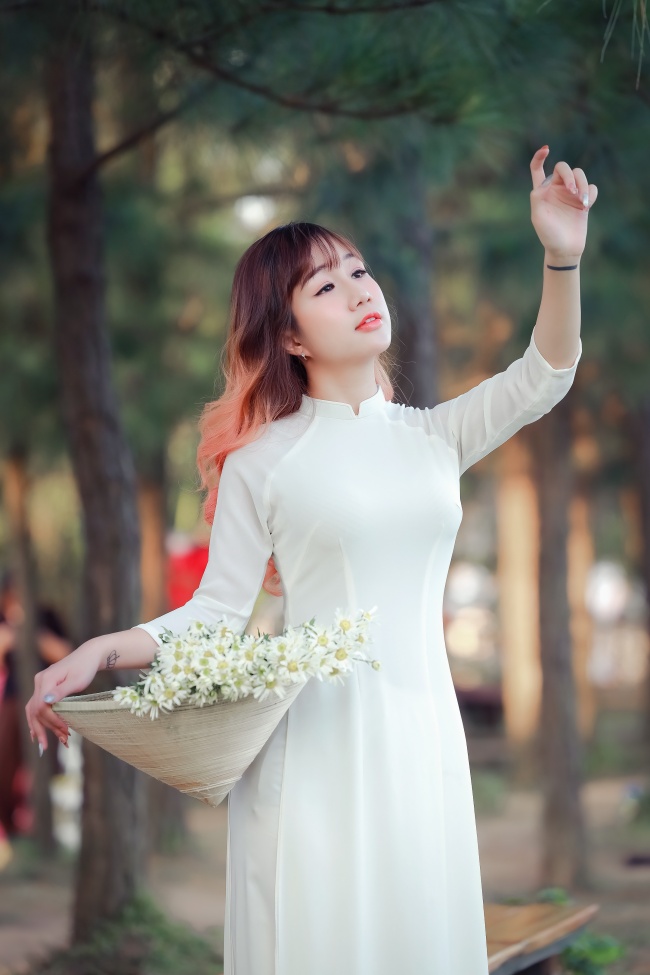 梦莲动漫